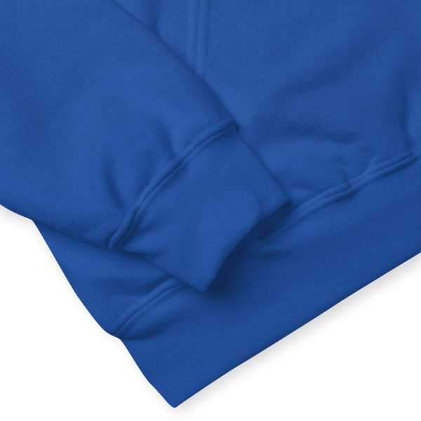 Hoodie "COLLEGE" - Embroidered (Blue) - Image 6